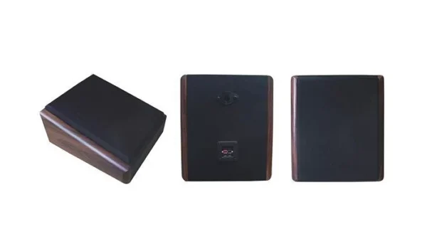 Настінний гучномовець Younasi Y-771, 10Вт