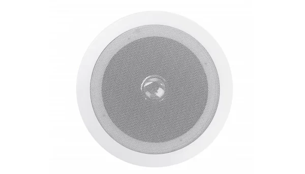 1624563696643784-700x400-1.webp Стельовий динамік RONG YE NJ-12TW