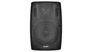 Настінна акустична система RONG YE XP-20IP (Black)