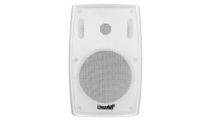 Настінна акустична система RONG YE XP-20IP (White)