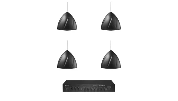 Комплект звуку DV audio LA1204PS5B для приміщення до 80 м?