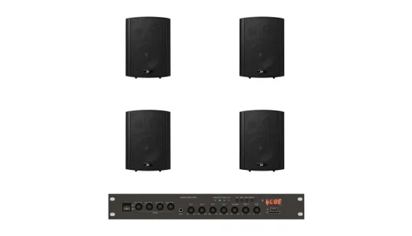 Комплект звуку DV audio LA804PB5B для зони оповіщення до 80м.